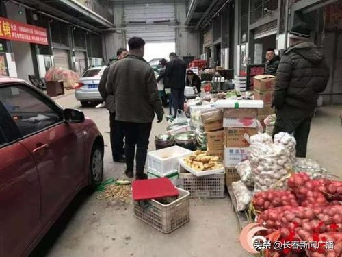 长春市多措并举保障市民“菜篮子”供应与新鲜水果零售稳定