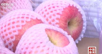 记者探秘 水果价格为何比肉贵？果市‘涨声一片’背后真相解密