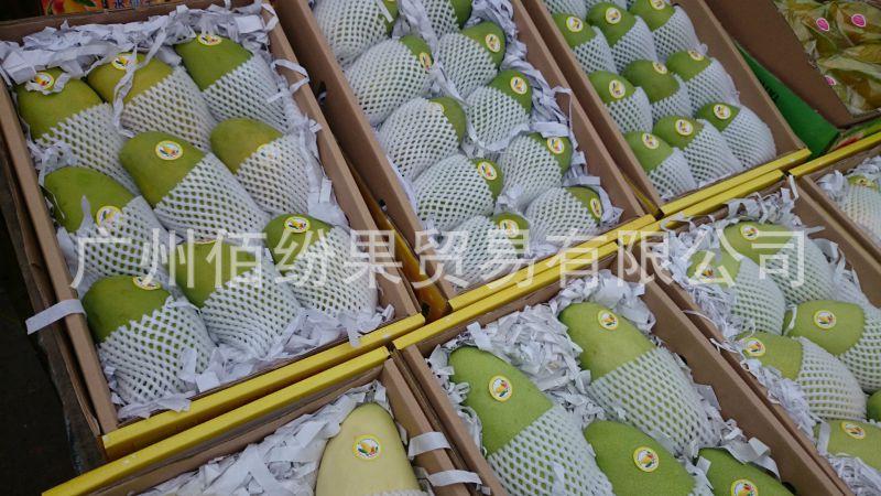 佰纷果海南水仙芒 出口级品质认证，48小时产地直发，体验“核薄如纸”的甜糯暴击