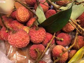 荔枝涨价背后 从水果自由到消费焦虑