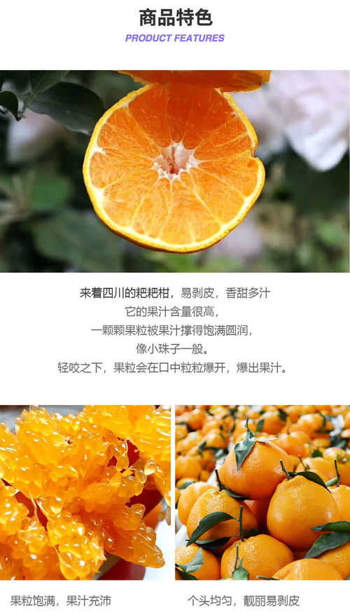 春见耙耙柑 来自四川的甜蜜问候