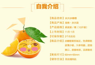 邮三湘 郴州永兴冰糖橙 中国十大名橙的鲜甜馈赠