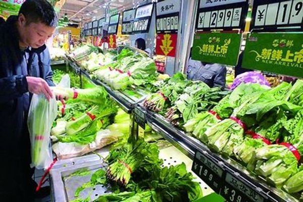 从田间到餐桌 菜农直连终端销售新路径