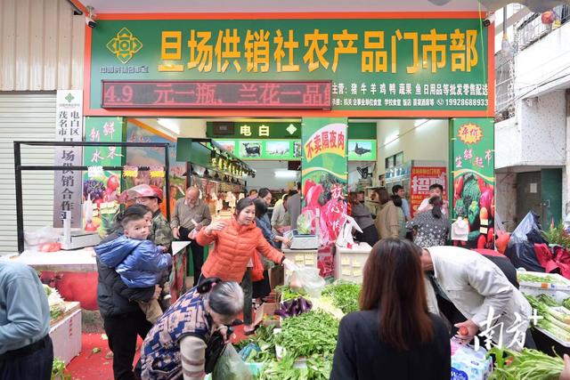 平价新鲜，从田间到餐桌——茂名电白供销系统打造不隔夜生鲜超市